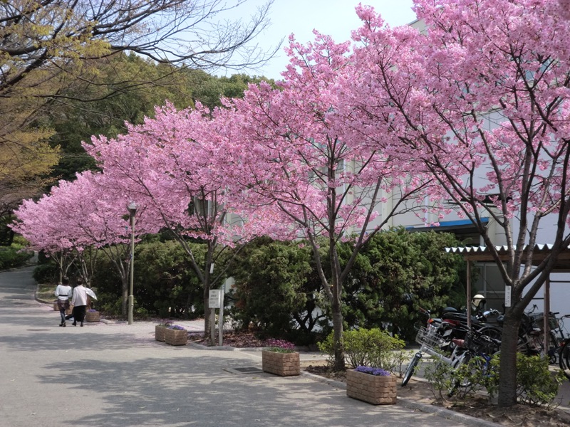 f0238779_973321.jpg