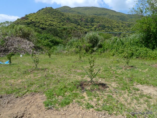 b0115085_1574054.jpg
