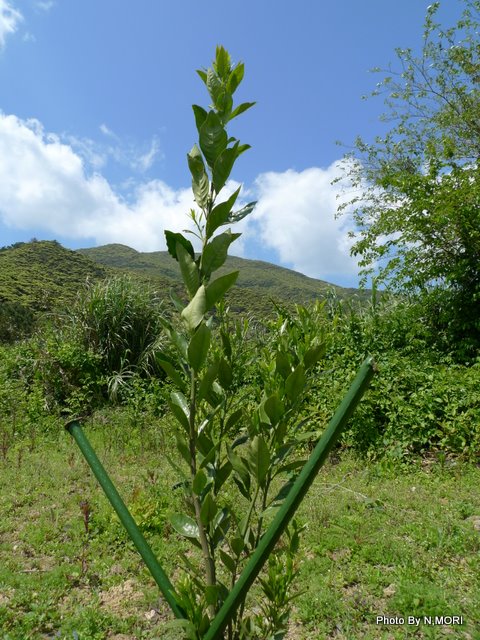 b0115085_23358.jpg