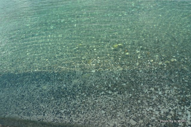 b0115085_263740.jpg
