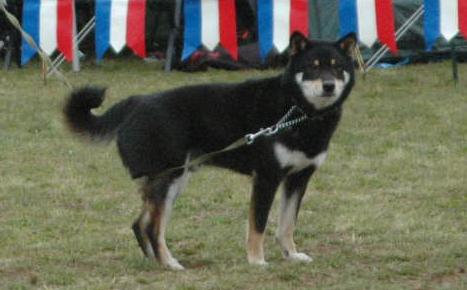 c0123890_2141899.jpg