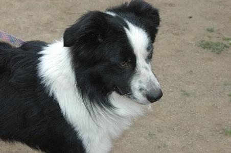 c0123890_2142565.jpg