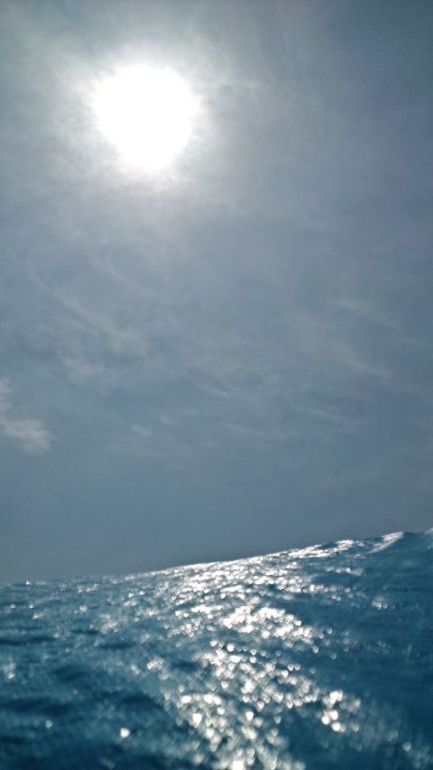 a0199297_21403173.jpg