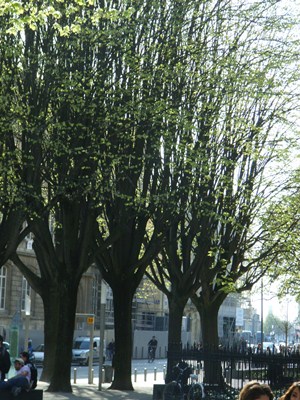 c0017802_1815937.jpg
