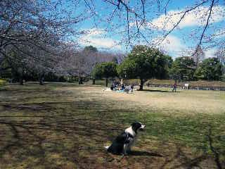 f0034602_17421944.jpg