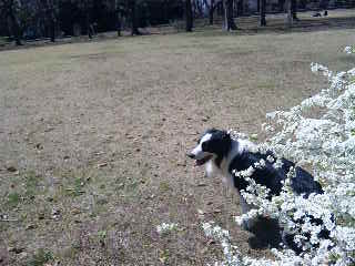 f0034602_17431497.jpg