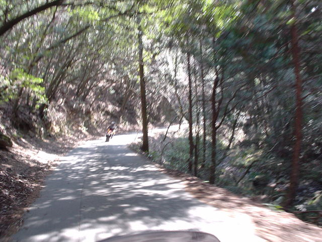 a0116205_2331576.jpg
