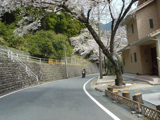 a0116205_23353181.jpg