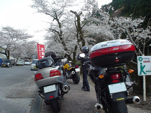 a0116205_23412936.jpg