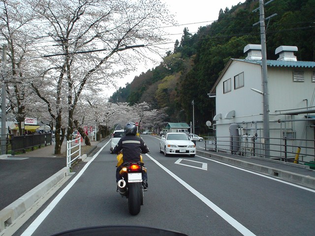a0116205_2341946.jpg