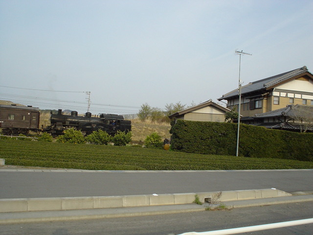a0116205_23422025.jpg