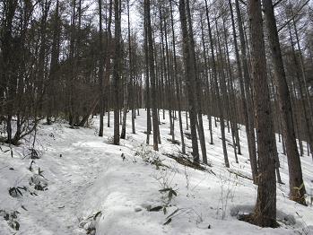d0032405_23281852.jpg