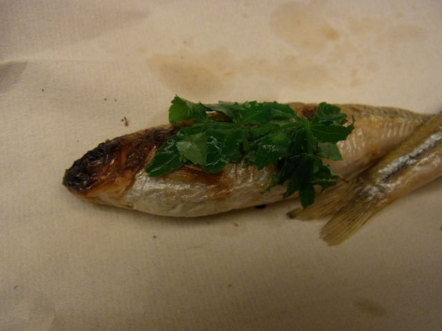 a0091907_16132567.jpg