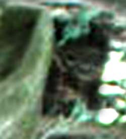 e0103408_15111729.jpg