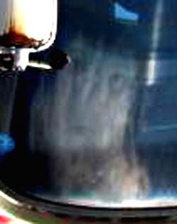 e0103408_1647156.jpg
