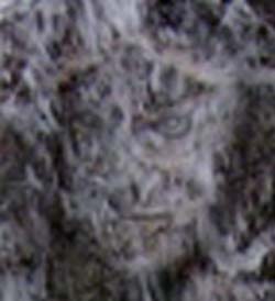 e0103408_19585536.jpg
