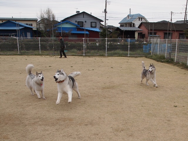 b0207615_23413174.jpg