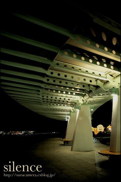f0100215_23151180.jpg