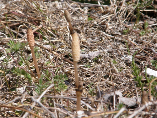 c0158916_2247091.jpg