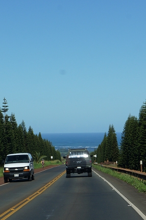d0163317_23343791.jpg