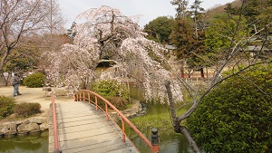 b0197418_19125917.jpg