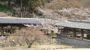 b0197418_19145767.jpg