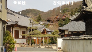 b0197418_1991861.jpg