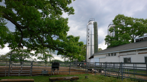 c0008520_2261493.jpg