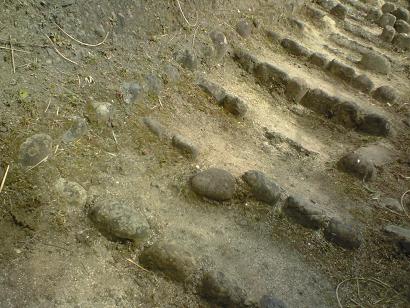 c0097620_2029157.jpg