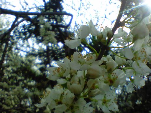c0097620_20292417.jpg