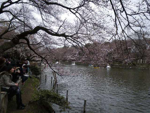 e0098223_1129723.gif