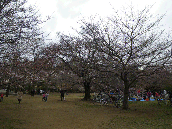 e0098223_11301483.gif