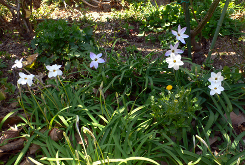 f0060424_9115434.jpg