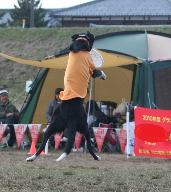 b0085331_1511361.jpg