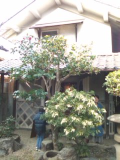 c0100534_8365979.jpg