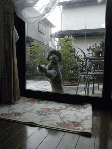 c0136736_23452012.gif