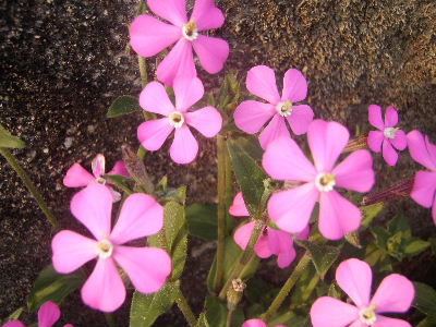 a0054240_22482295.jpg