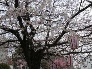 e0110940_23163659.jpg