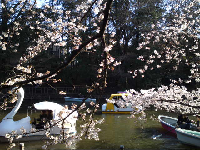 f0212543_18135229.jpg