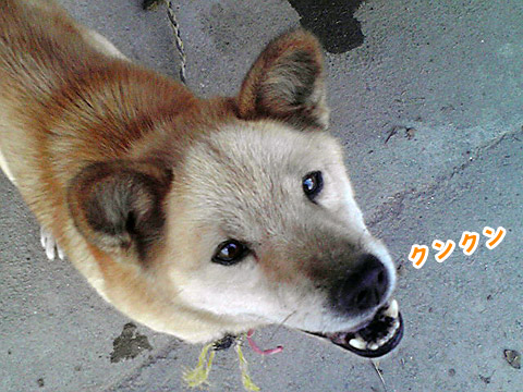 c0053844_21291433.jpg