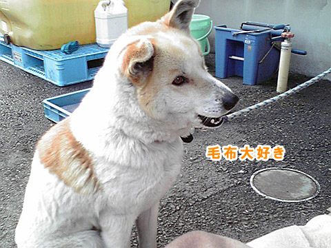 c0053844_21325358.jpg