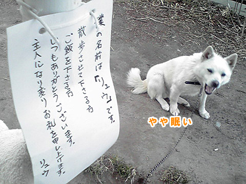 c0053844_21405282.jpg