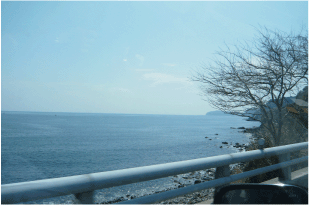 b0182846_23205470.gif