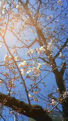 f0153946_201495.jpg