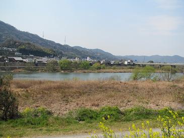 f0064449_6482868.jpg