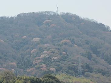 f0064449_7111991.jpg