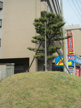 f0064449_8162539.jpg