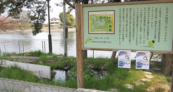 d0031853_2551418.jpg