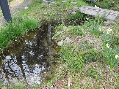 d0031853_2552791.jpg