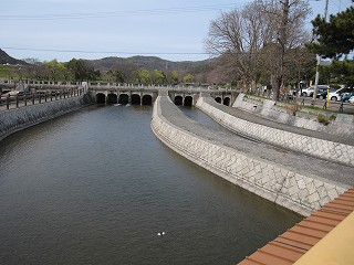 d0031853_313789.jpg